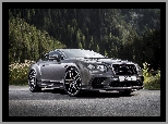 Bentley Continental Supersports, 2017