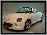 Copen, Z