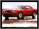 Dodge Challenger, Czarne, Alufelgi, Pasy