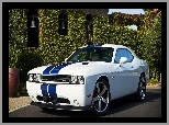 Dodge Challenger SRT8, Dom